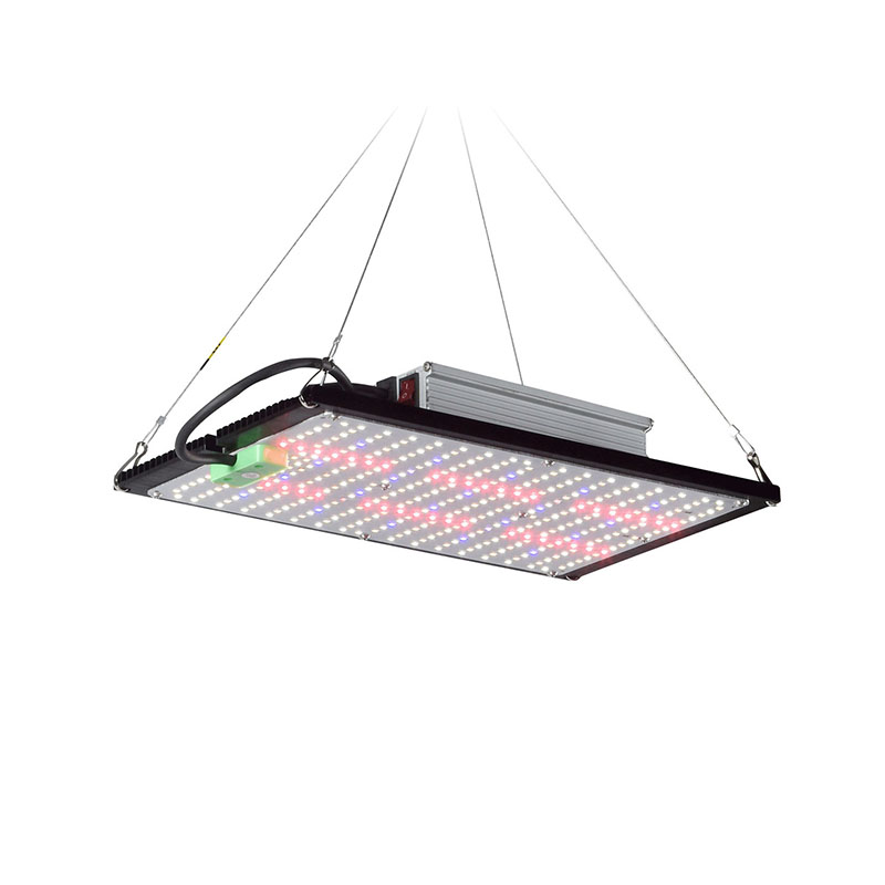 Indoor Plants - Lámpara de Cultivo LED Quantum-Board de
