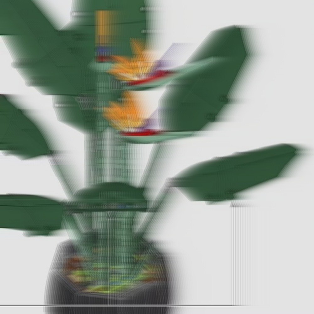 The Plant Parent - Hermoso conjunto de exhibición de ramo