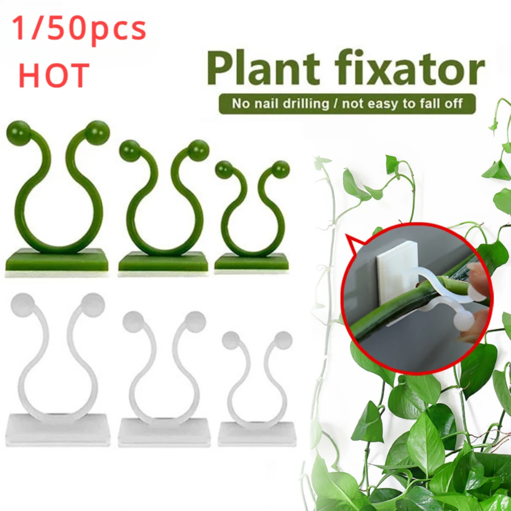 Plant Support Stake - Accesorios para jardín, macetas y jardineras