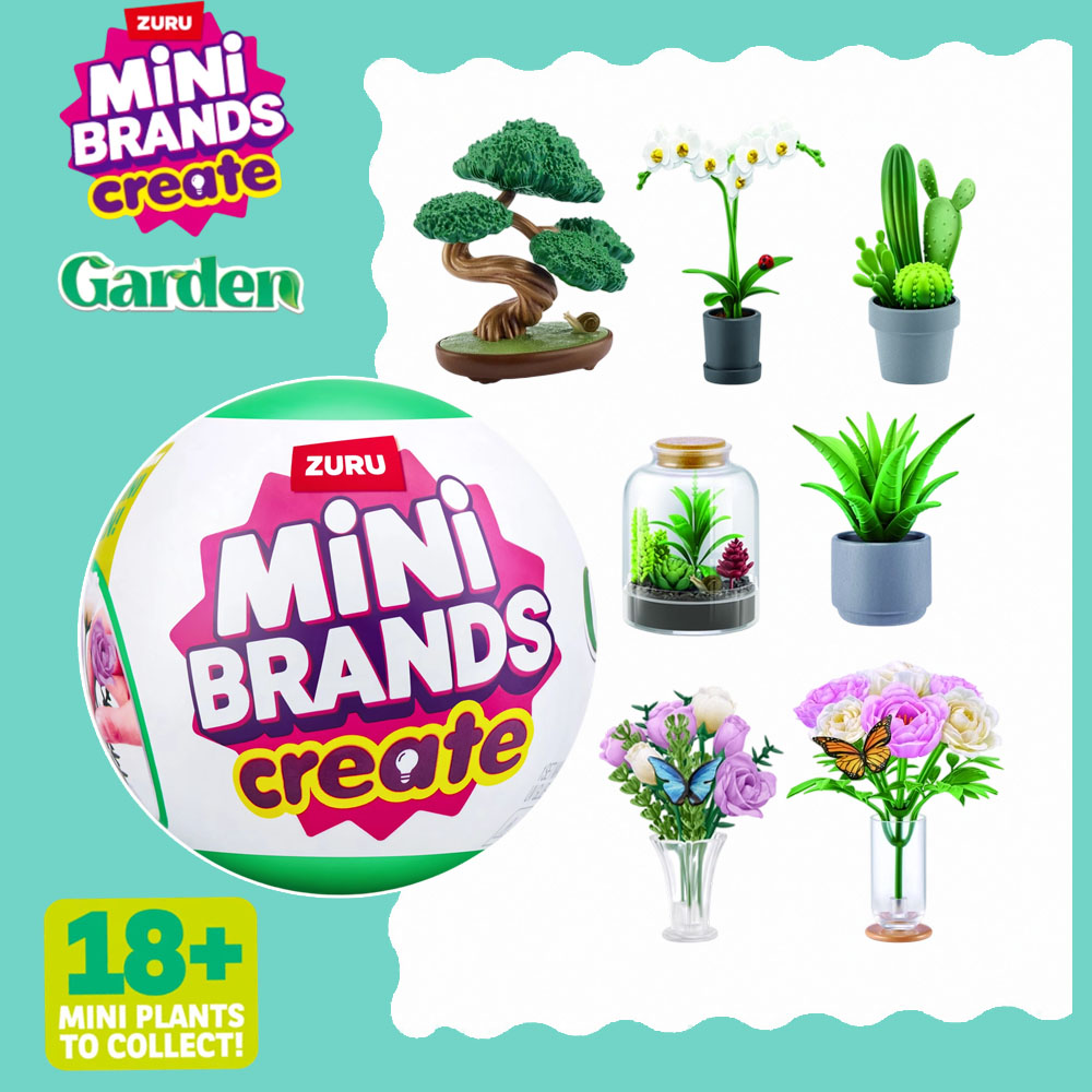 Succulent Set - Juego de plantas DIY de jardín