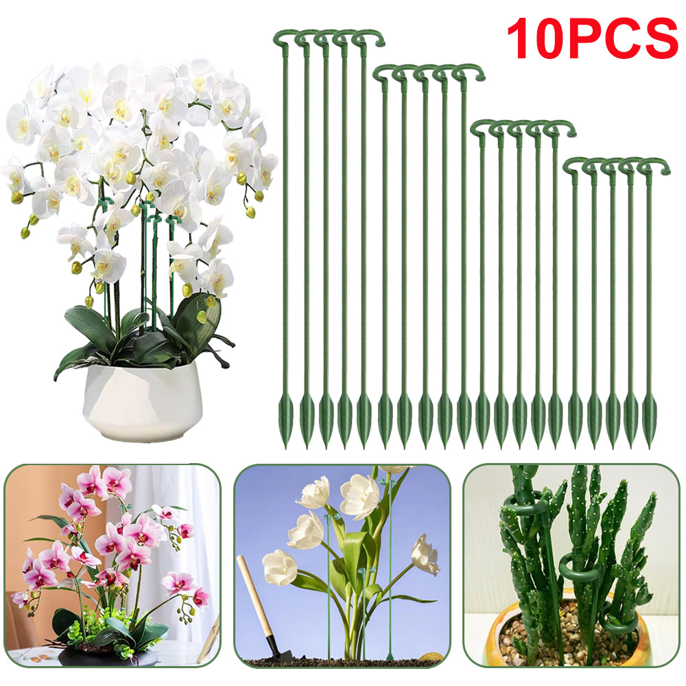 Succulent Set - Estacas de Soporte para Plantas (5/10