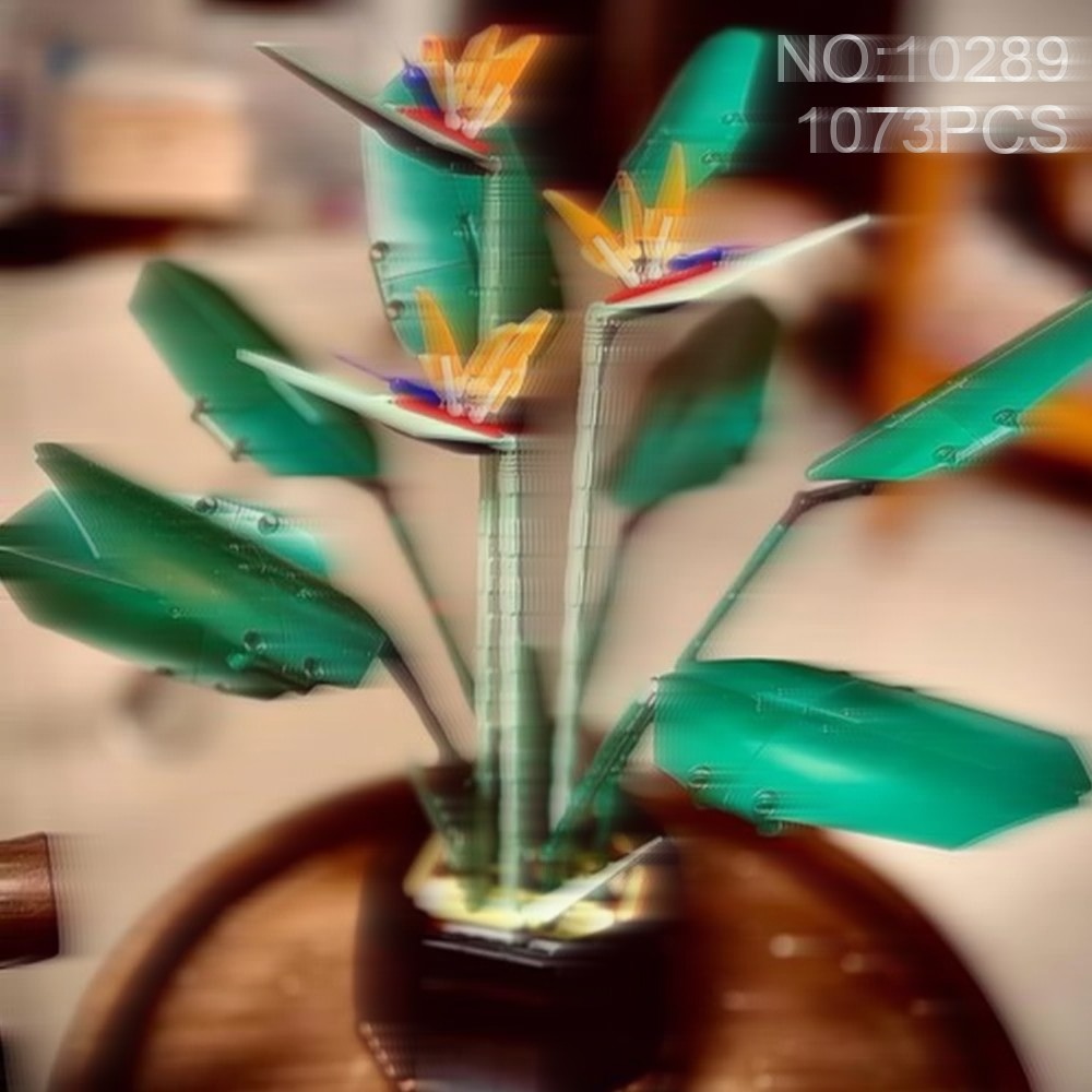 Hermoso conjunto de exhibición - The Plant Parent reseña y precio