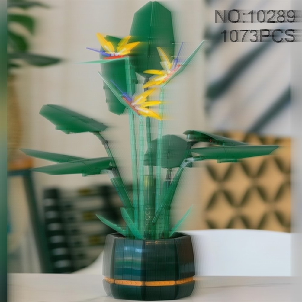 Hermoso conjunto de exhibición - The Plant Parent reseña y precio