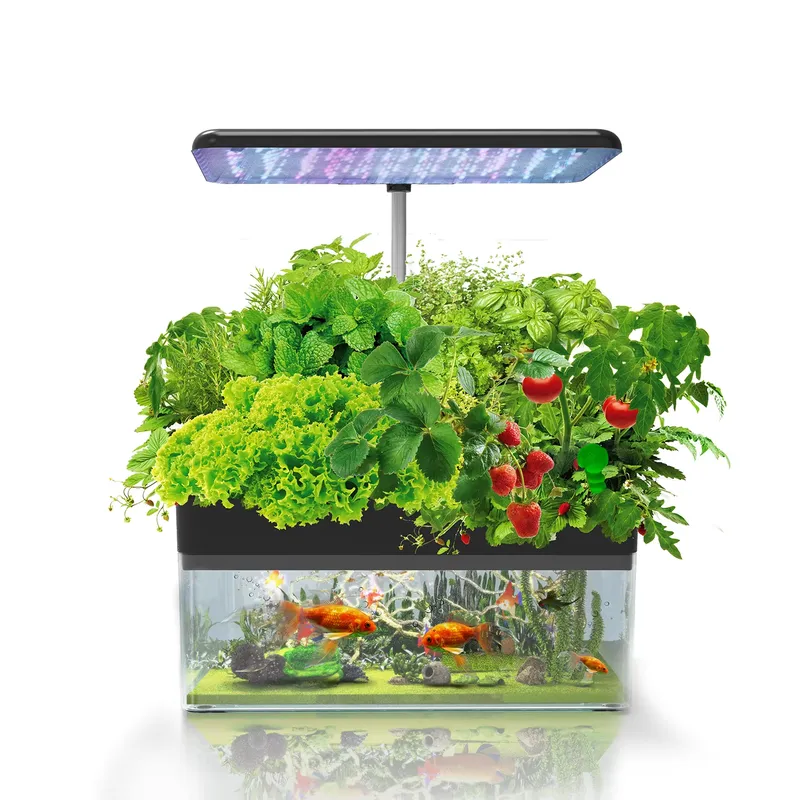 Sistema de Cultivo Hidropónico - Indoor Plants reseña y precio