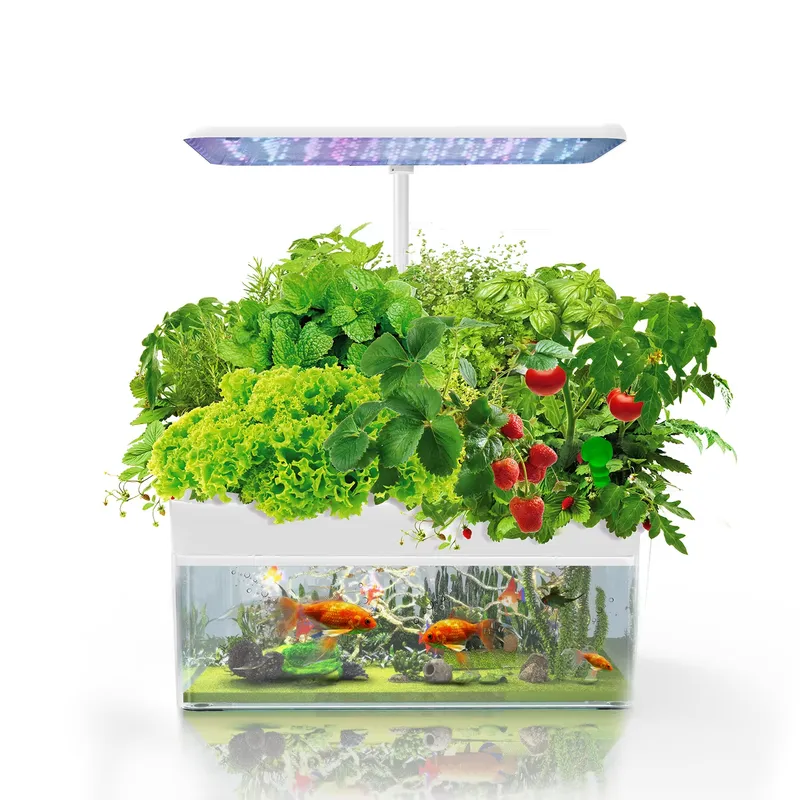 Sistema de Cultivo Hidropónico - Indoor Plants reseña y precio