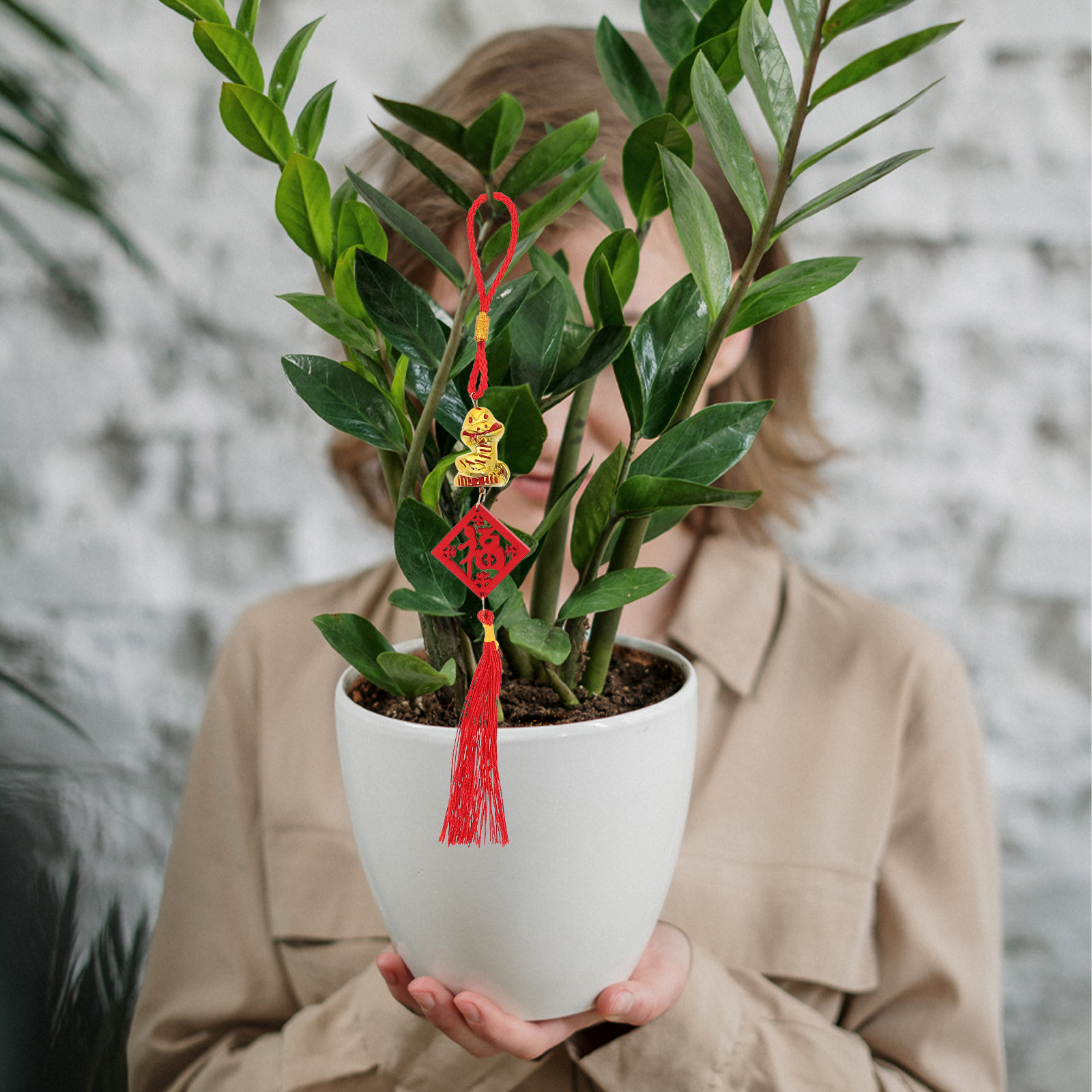 5 piezas de colgantes de mader - Snake Plant reseña y precio