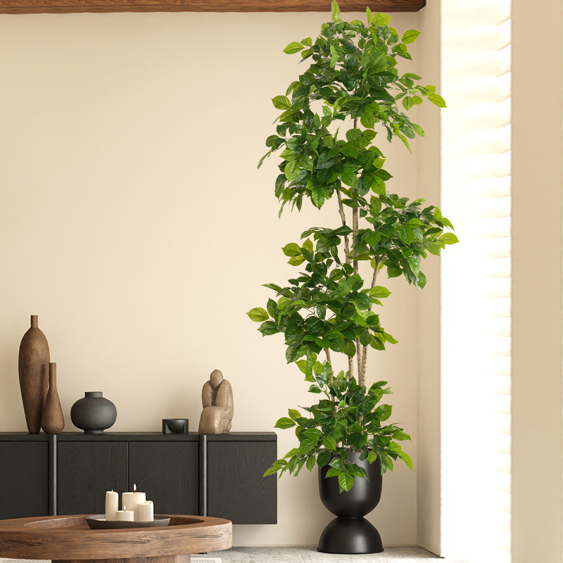 Plantas falsas grandes de 2-78 - Fiddle Leaf Fig reseña y precio