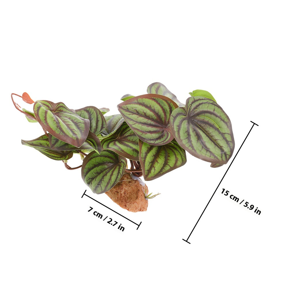 Plantas de Simulación de Alta  - Snake Plant reseña y precio