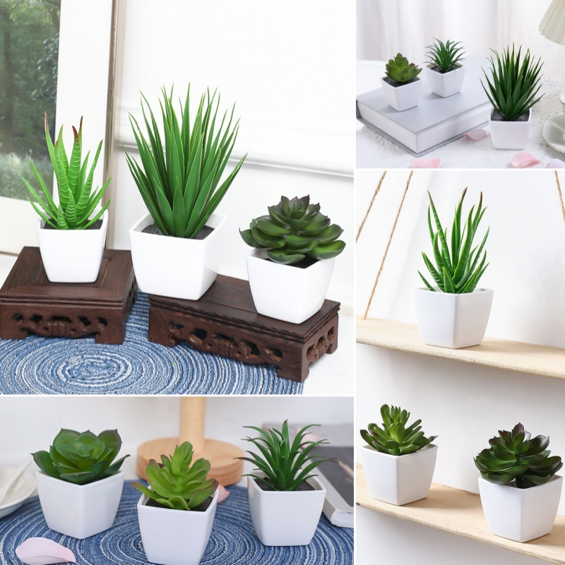 (Un juego de 3 piezas) Mini pl - Succulent Set reseña y precio