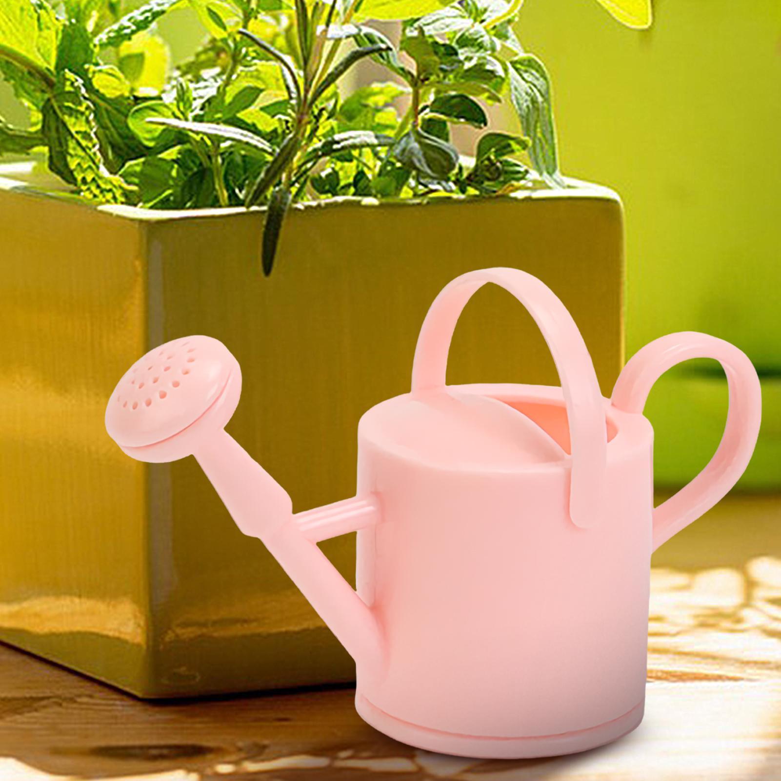 Regadera pequeña para niños, r - Succulent Set reseña y precio
