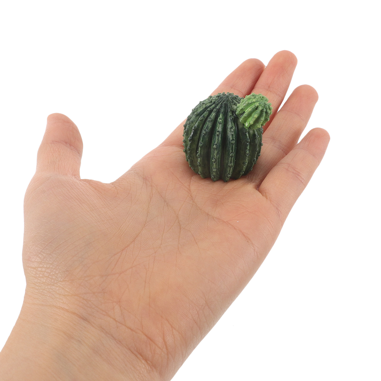 Set de mini plantas suculentas - Succulent Set reseña y precio