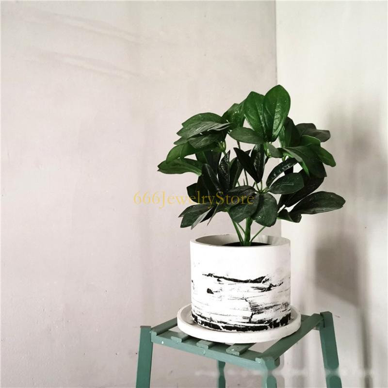 F2TD gran redonda planta macet - Succulent Set reseña y precio
