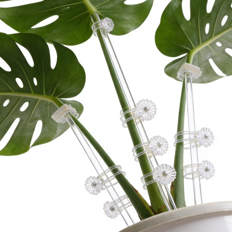 Estaca de Soporte Transparente - Plant Support Stake reseña y precio