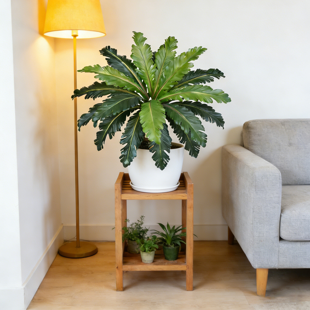 Hojas Persas Tropicales Artifi - Snake Plant reseña y precio