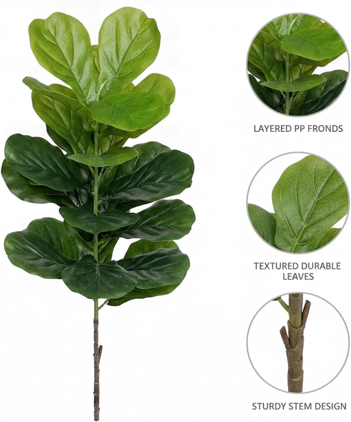 Árbol de Higuera Lirófilo Arti - Fiddle Leaf Fig reseña y precio