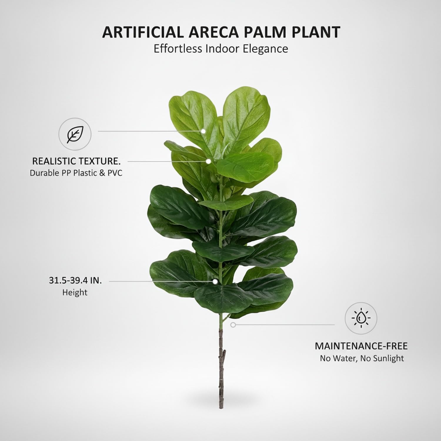 Árbol de Higuera Lirófilo Arti - Fiddle Leaf Fig reseña y precio