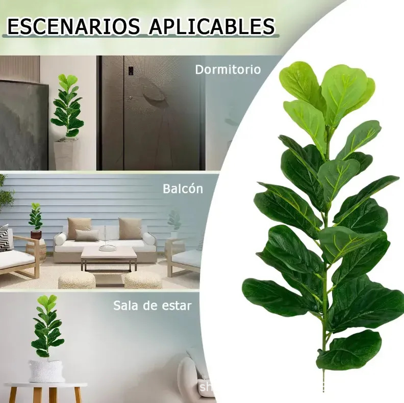 Árbol de Higuera Lirófilo Arti - Fiddle Leaf Fig reseña y precio