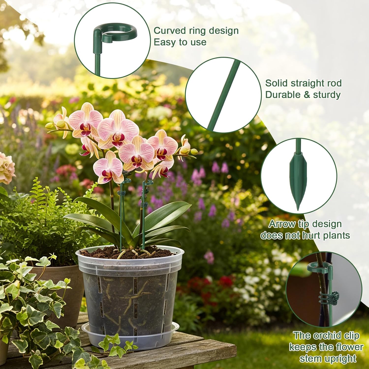 Estacas de Soporte para Planta - Succulent Set reseña y precio