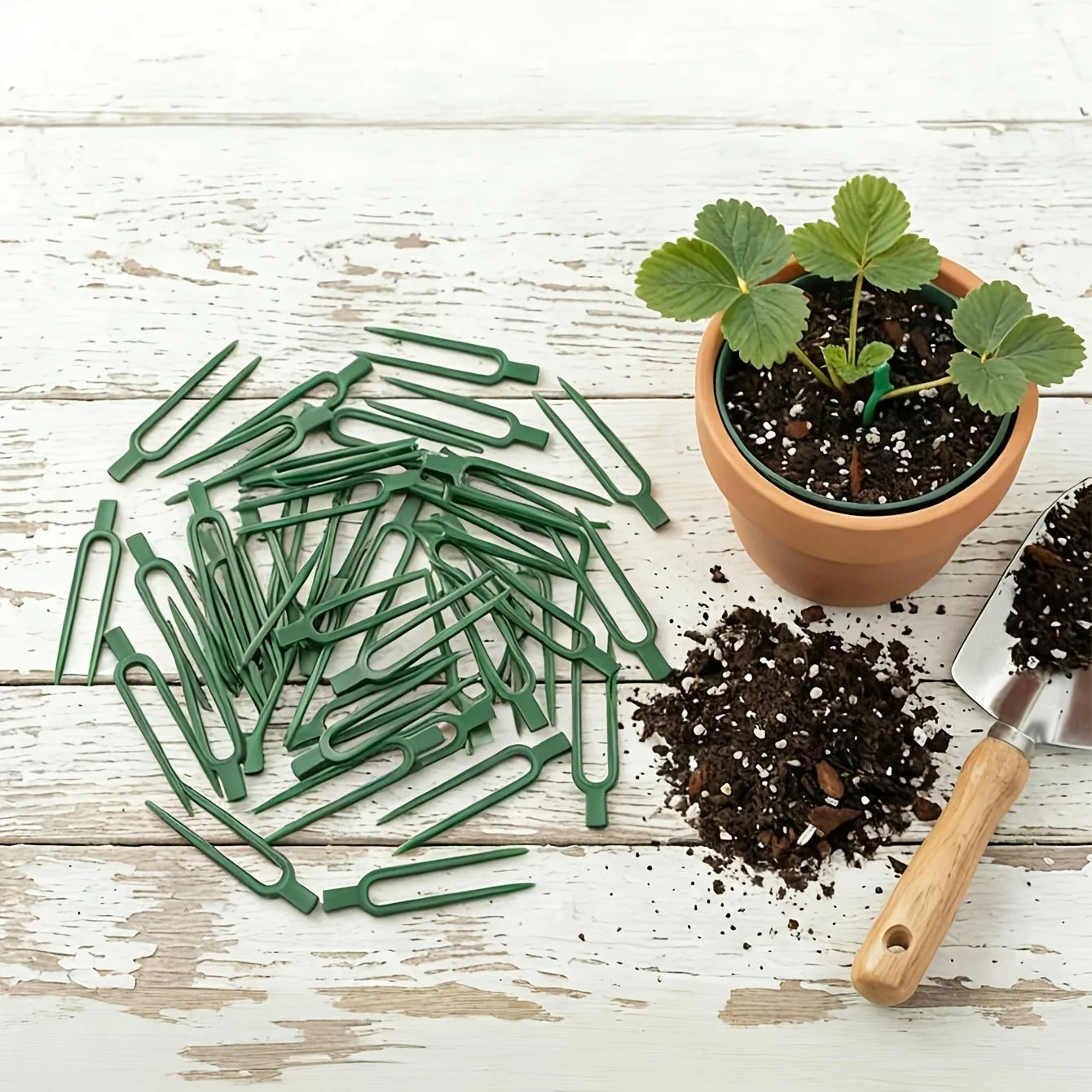 50 unidades de tenedores de pl - Plant Support Stake reseña y precio