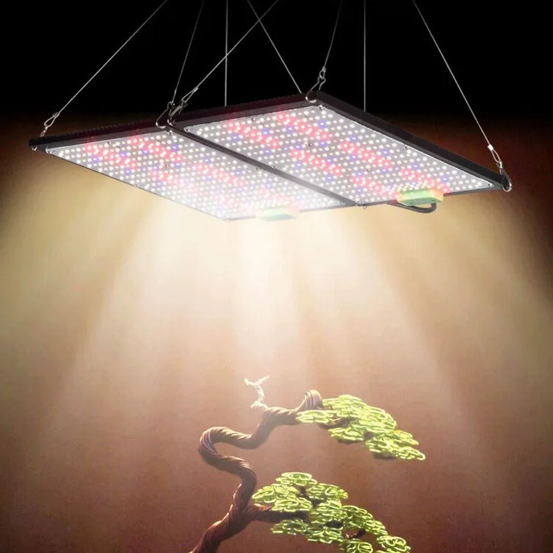 Lámpara de Cultivo LED Quantum - Indoor Plants reseña y precio